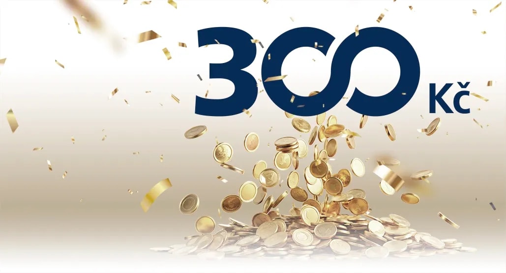 300 Kč každý měsíc
